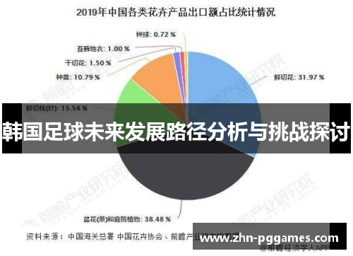 韩国足球未来发展路径分析与挑战探讨