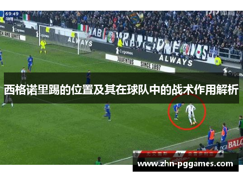 西格诺里踢的位置及其在球队中的战术作用解析